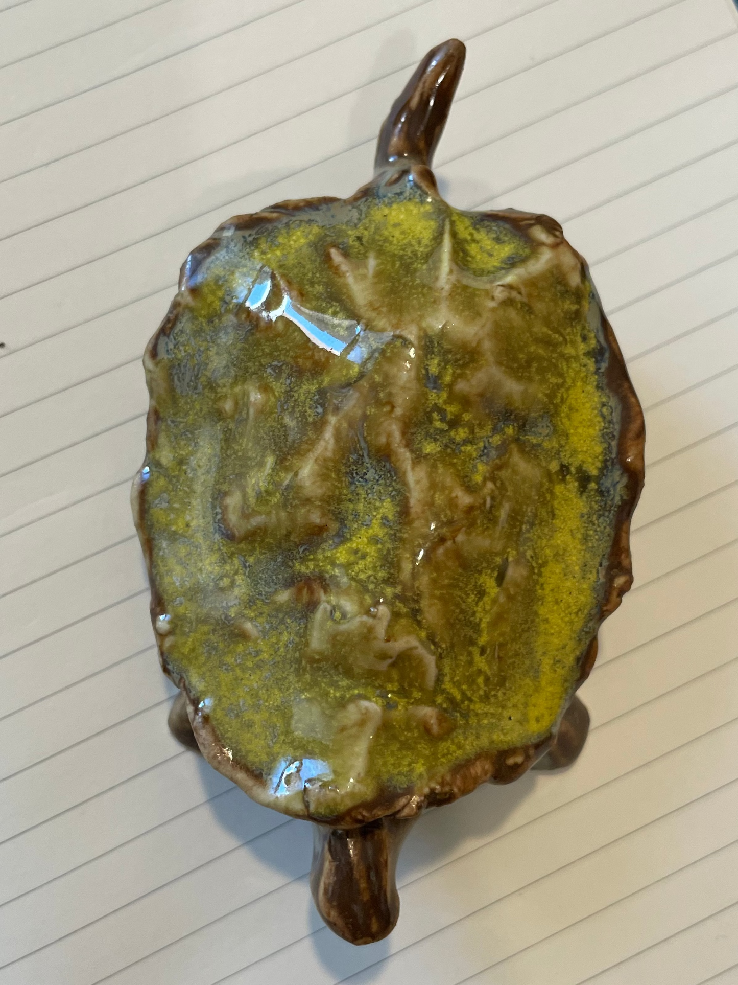 Tiny Turtle