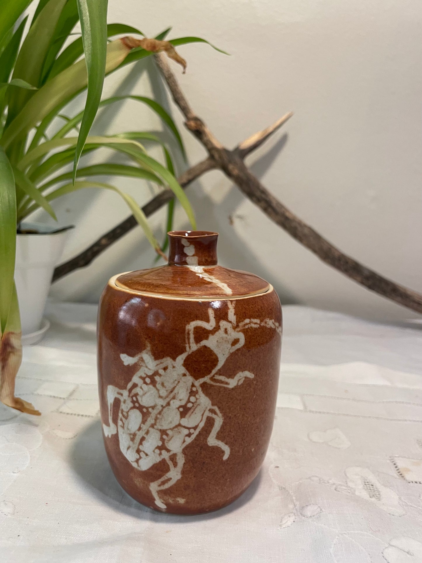 Beetle Jar
