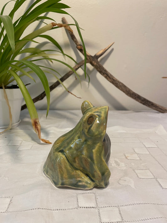 Geometric Frog