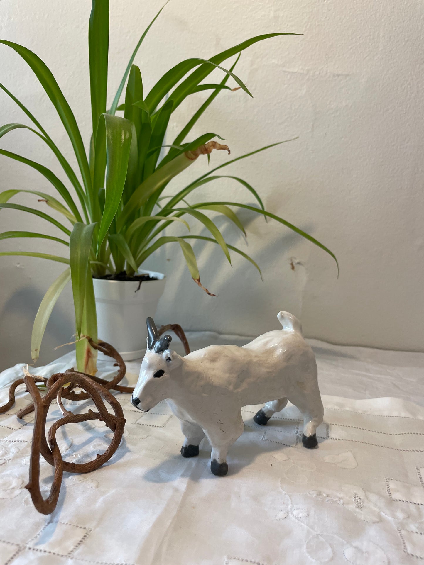 Mountain Goat