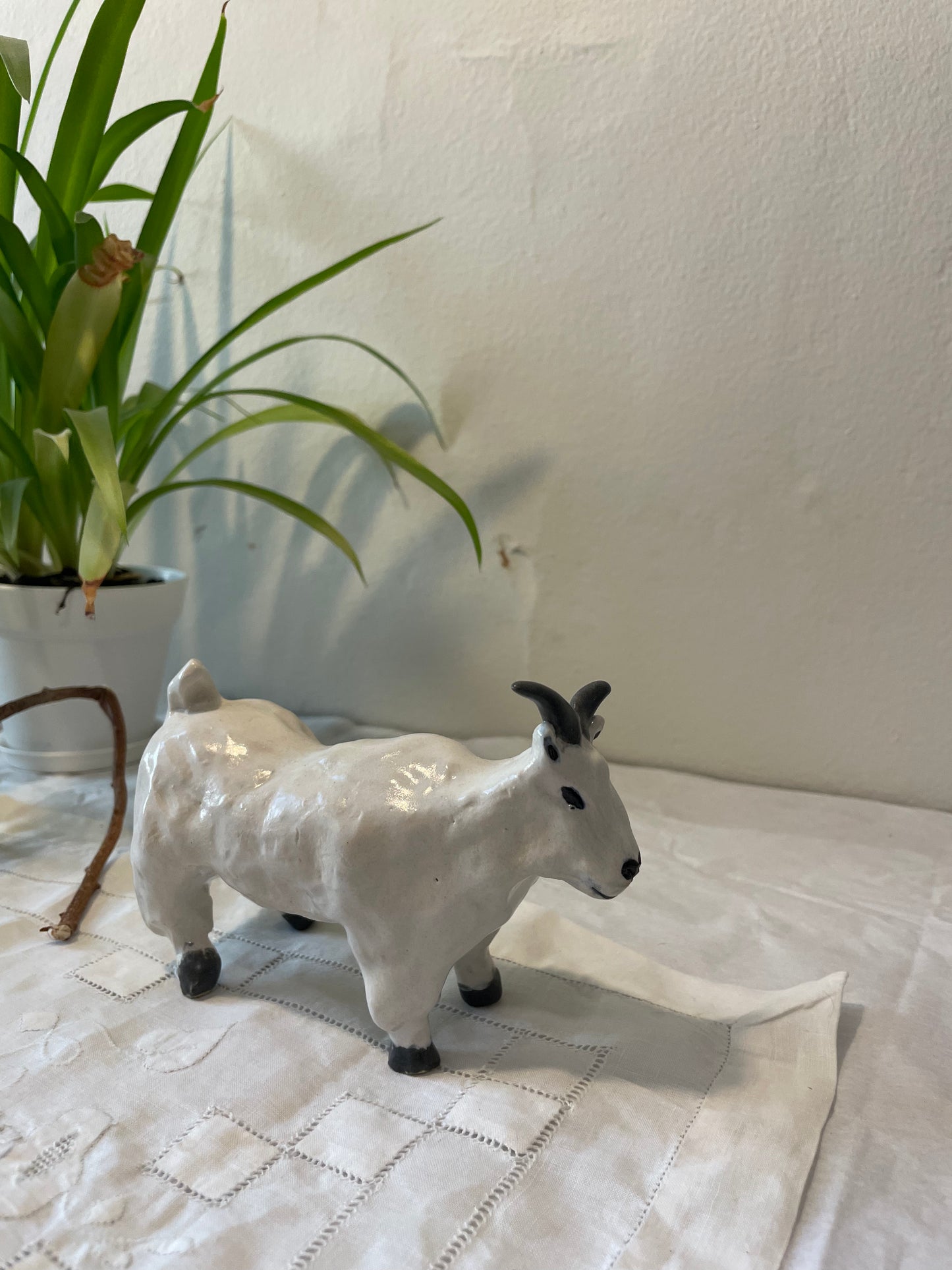 Mountain Goat