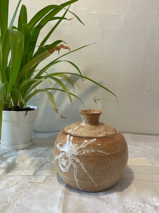 Leopard Spider Jar