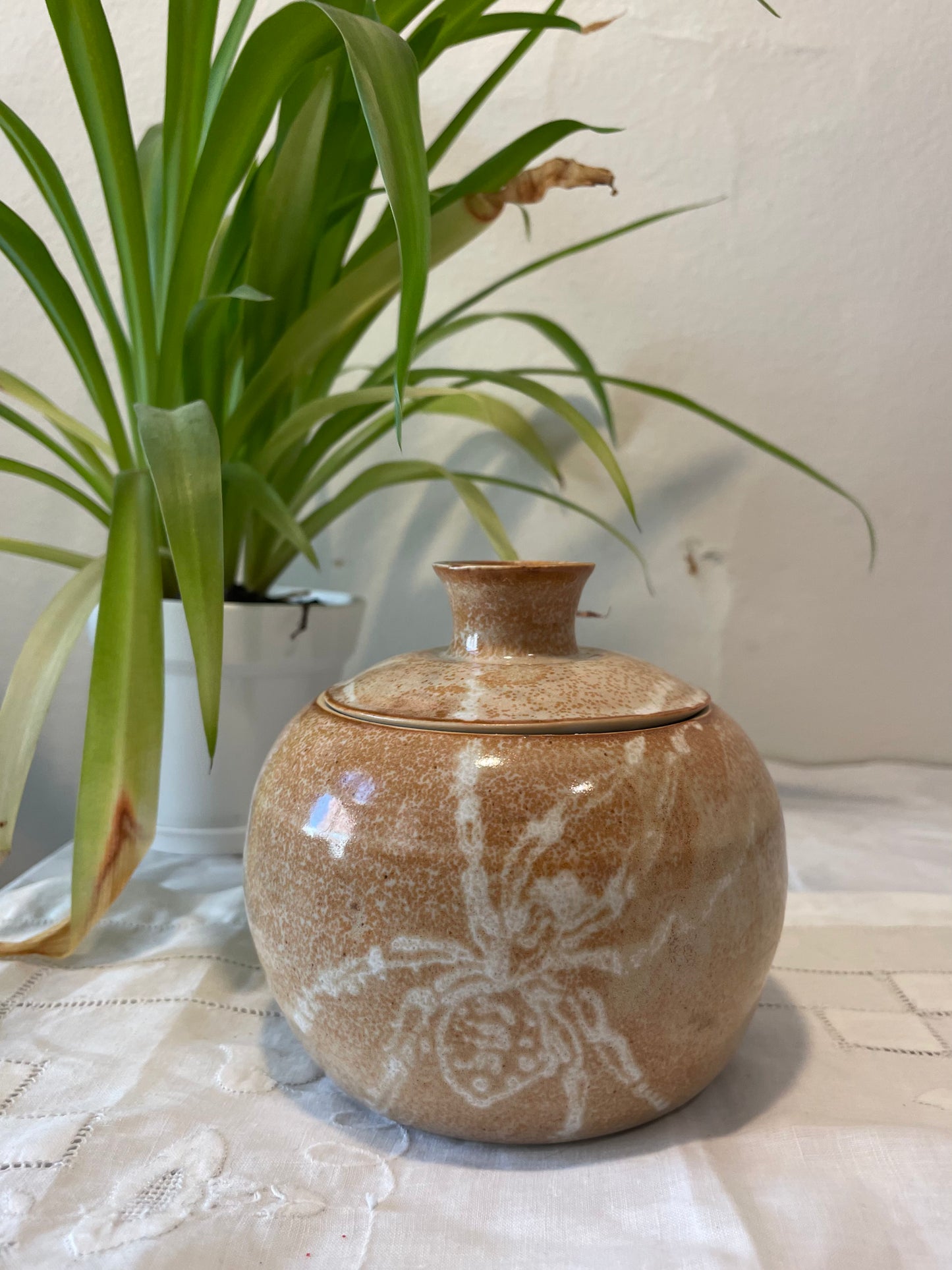 Leopard Spider Jar