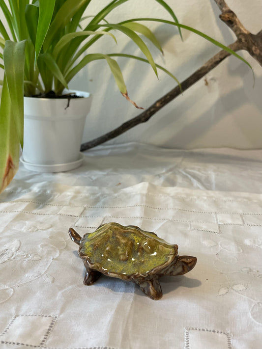 Tiny Turtle