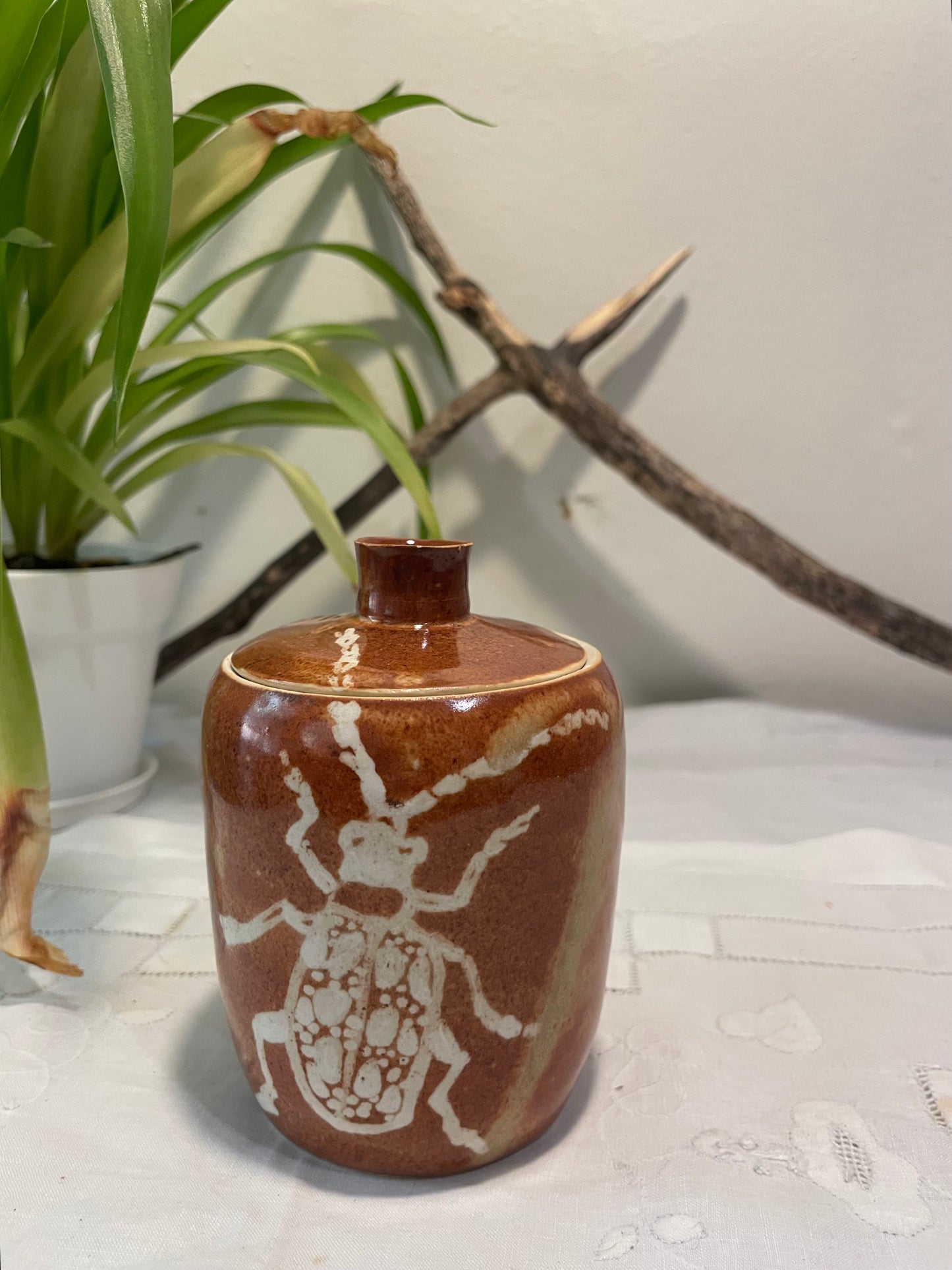 Beetle Jar