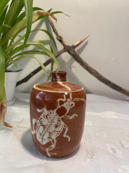 Beetle Jar